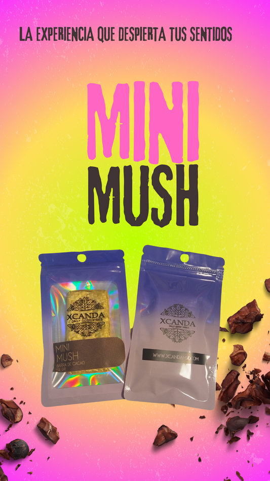 MINI MUSH 1.5 gr: El Balance Perfecto en Cada Mordida