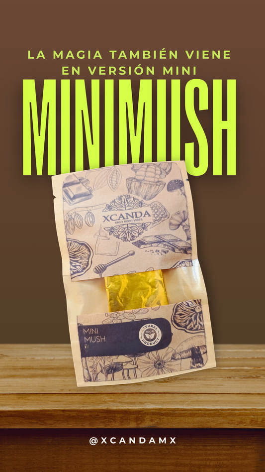 MINI MUSH 1.5 gr: El Balance Perfecto en Cada Mordida