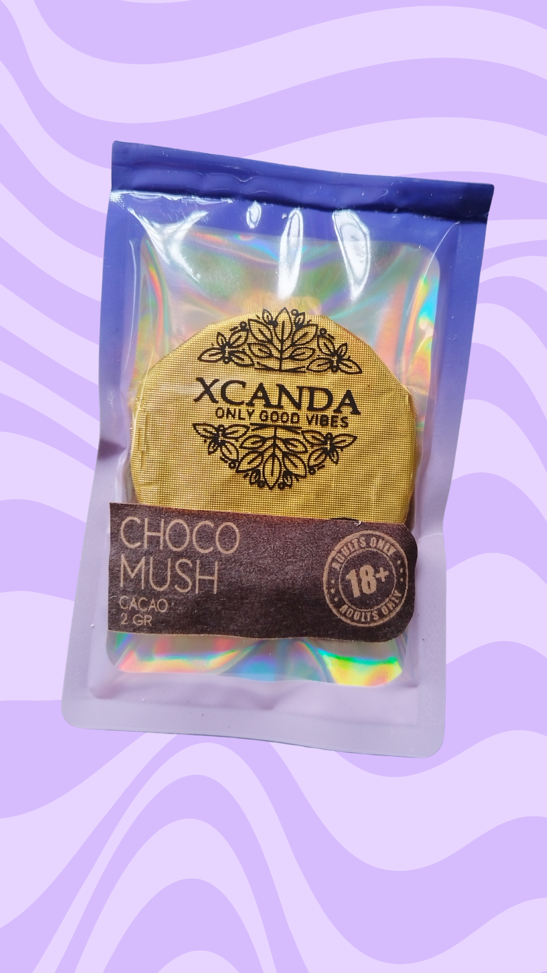 🍫 ChocoMush 2 gr: La experiencia que despierta tus sentidos 🍫