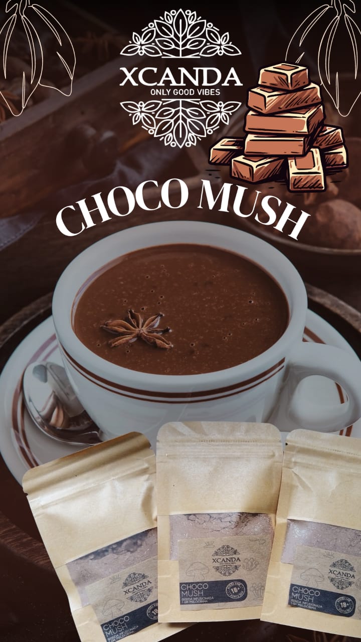 CHOCO MUSH EN POLVO 1 GR