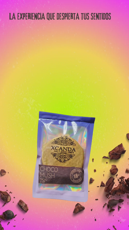 🍫 ChocoMush 2 gr: La experiencia que despierta tus sentidos 🍫
